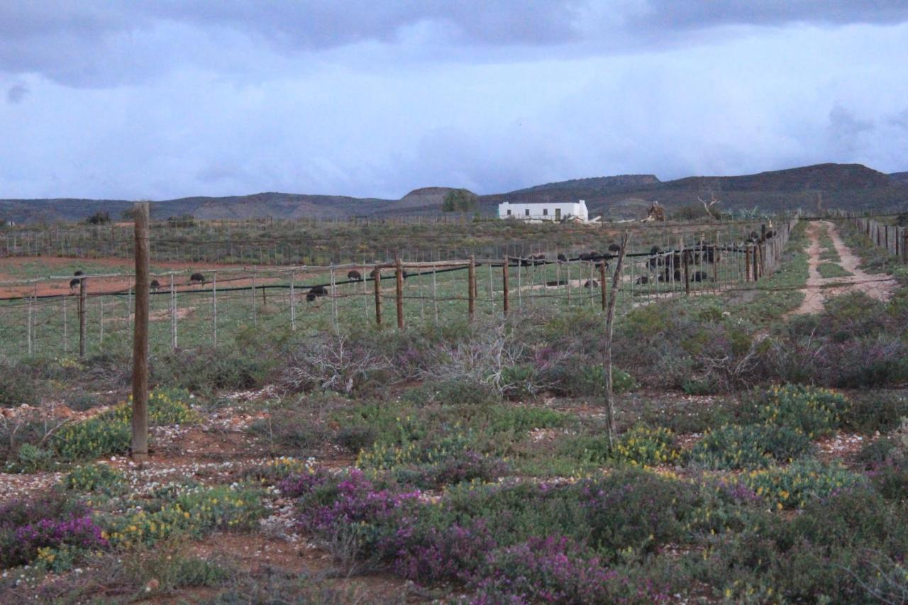 Pureplaas Self Catering Volmoed Oudtshoorn Klein Karoo Exterior foto