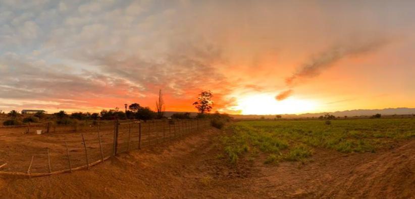 Pureplaas Self Catering Volmoed Oudtshoorn Klein Karoo Exterior foto