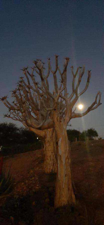 Pureplaas Self Catering Volmoed Oudtshoorn Klein Karoo Exterior foto